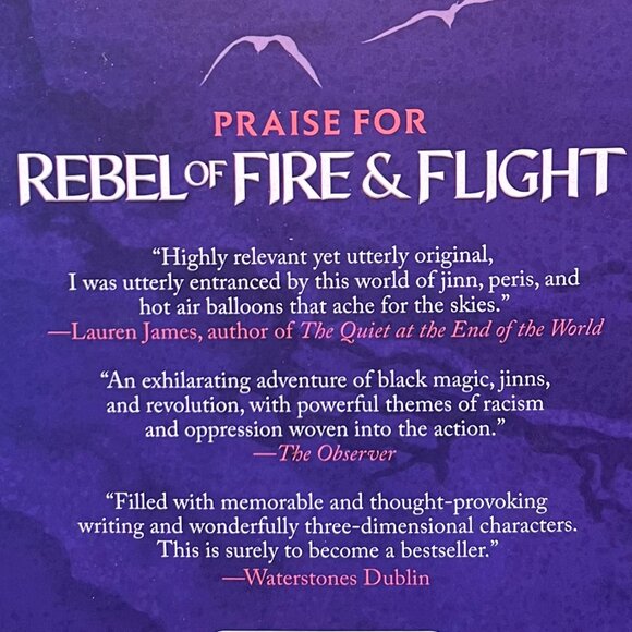 Rebel of Fire and Flight by Anneesa Marufu ~ Young Adult YA Fantasy Fiction - Picture 4 of 11